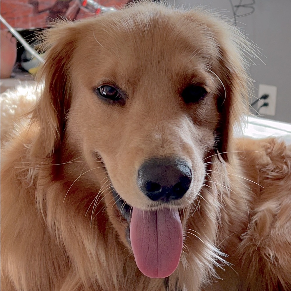 Meet your Posher, Vamy